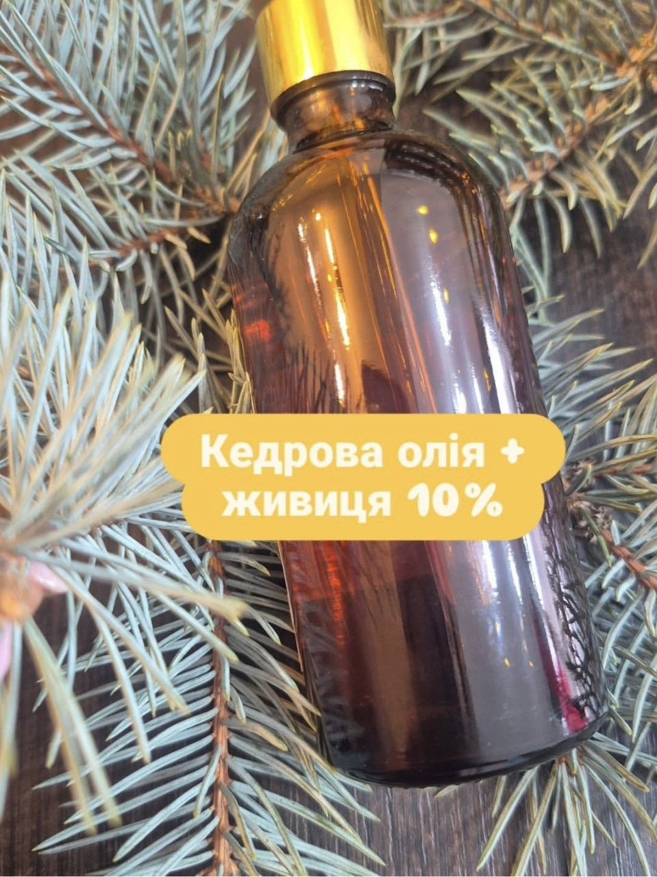 ЖИВИЦЯ