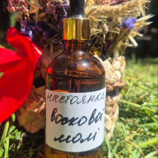 Настоянка воскової молі